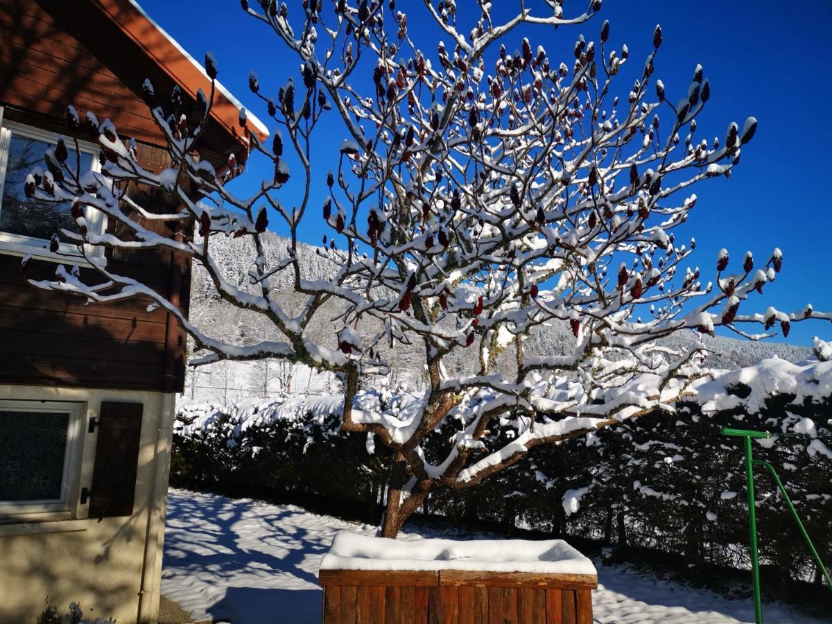 Gites Les Grandes Voies - Cle Vacances Le Ménil Buitenkant foto