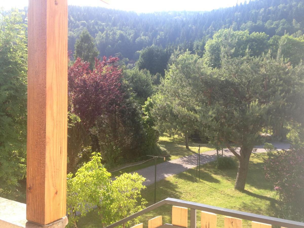 Gites Les Grandes Voies - Cle Vacances Le Ménil Buitenkant foto