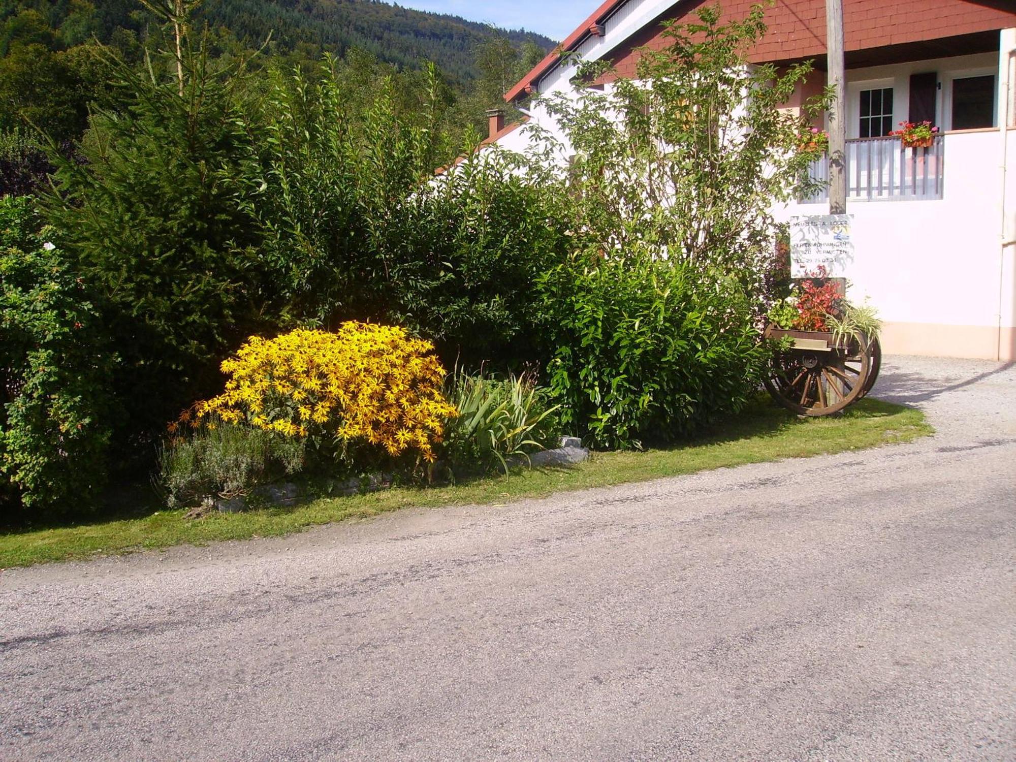 Gites Les Grandes Voies - Cle Vacances Le Ménil Buitenkant foto