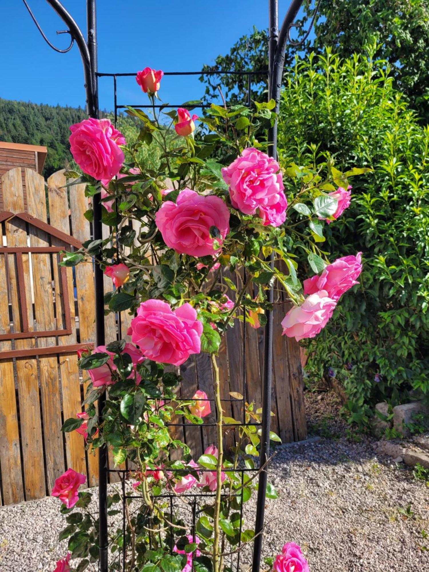 Gites Les Grandes Voies - Cle Vacances Le Ménil Buitenkant foto