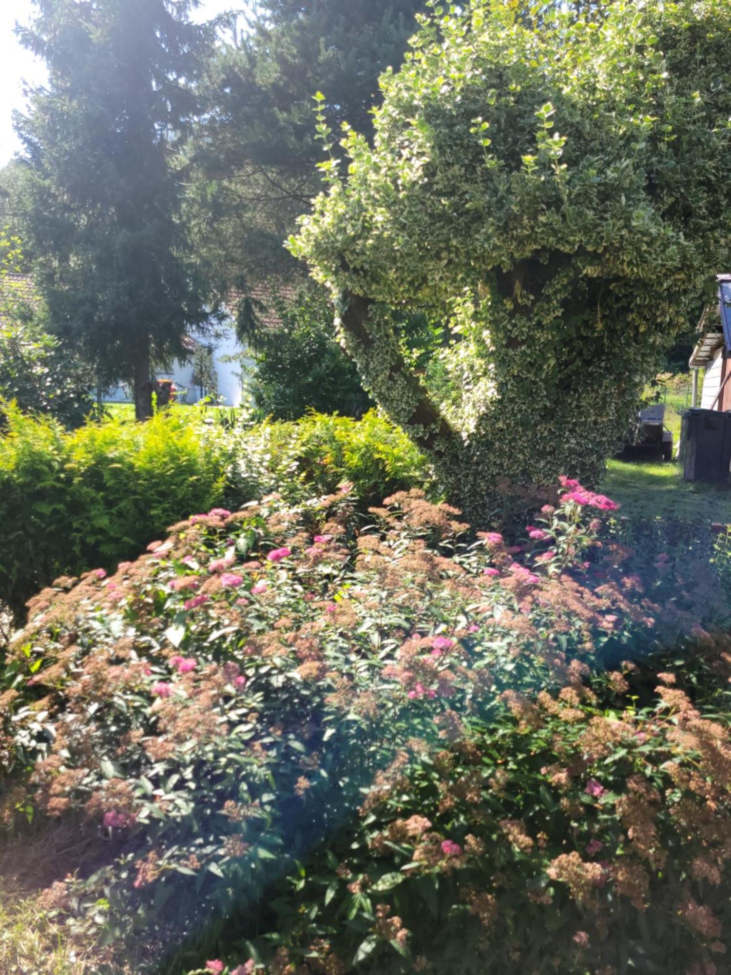 Gites Les Grandes Voies - Cle Vacances Le Ménil Buitenkant foto