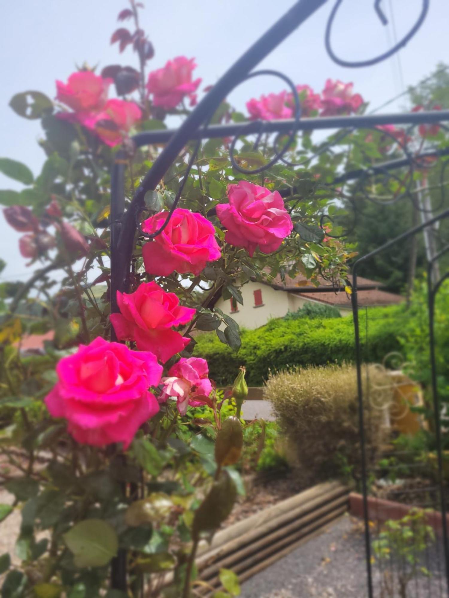 Gites Les Grandes Voies - Cle Vacances Le Ménil Buitenkant foto