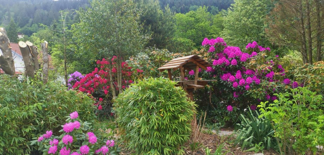 Gites Les Grandes Voies - Cle Vacances Le Ménil Buitenkant foto